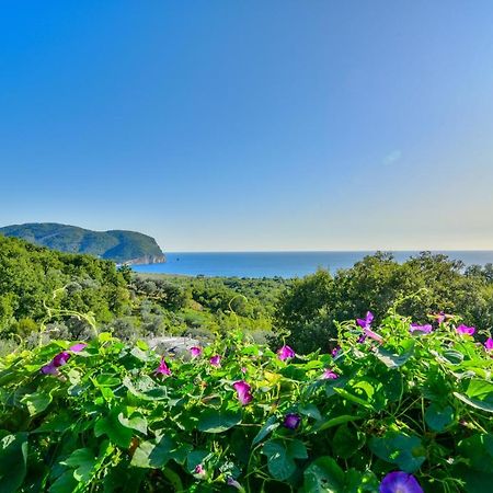 Pataki Studios Petrovac 外观 照片
