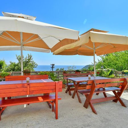 Pataki Studios Petrovac 外观 照片