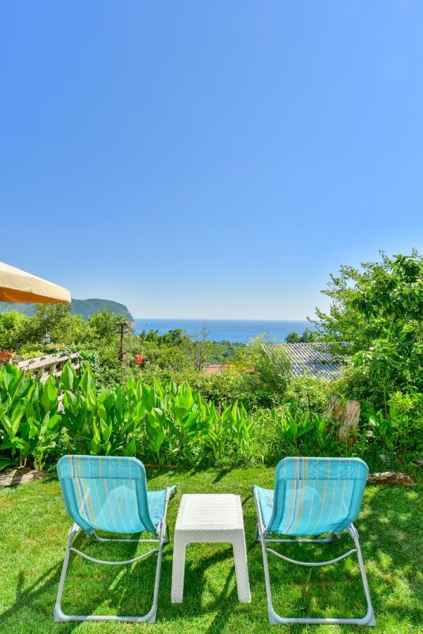 Pataki Studios Petrovac 外观 照片