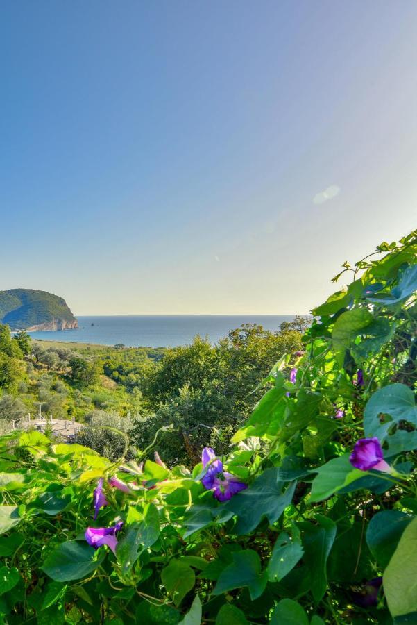 Pataki Studios Petrovac 外观 照片