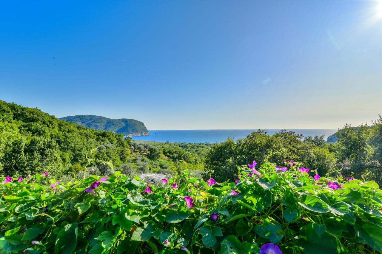 Pataki Studios Petrovac 外观 照片