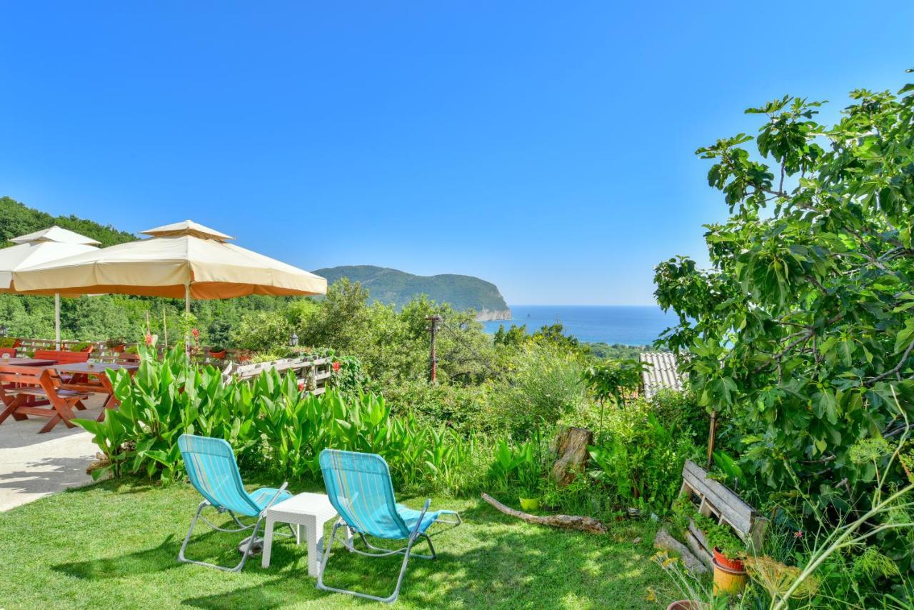 Pataki Studios Petrovac 外观 照片