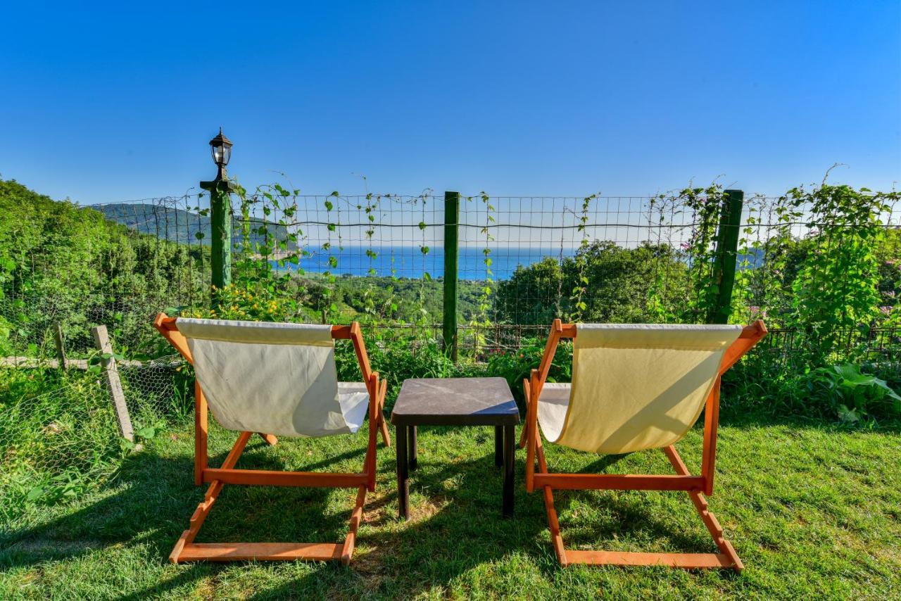 Pataki Studios Petrovac 外观 照片