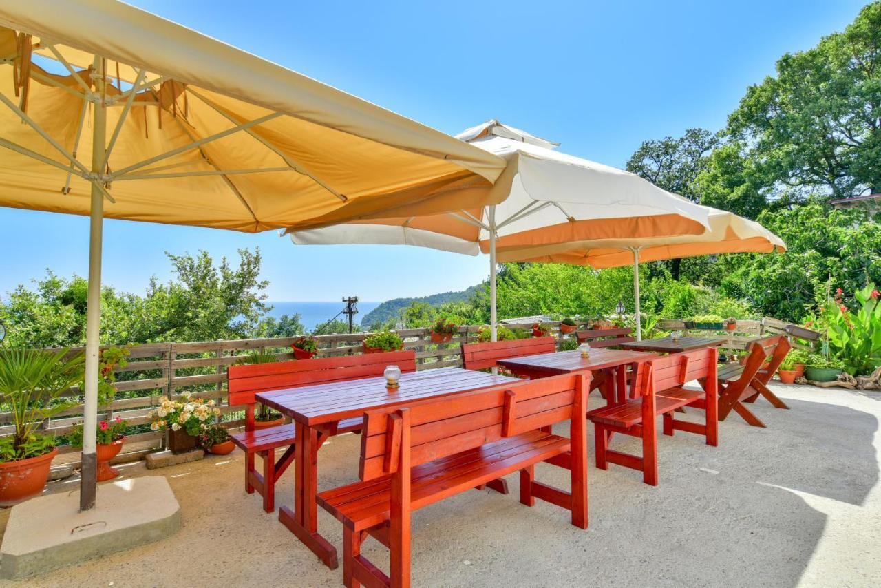 Pataki Studios Petrovac 外观 照片