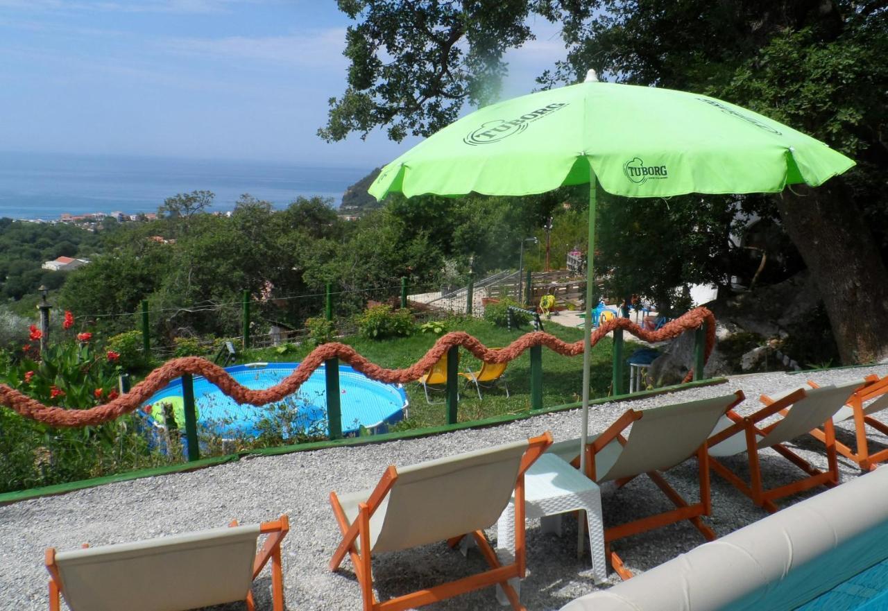 Pataki Studios Petrovac 外观 照片