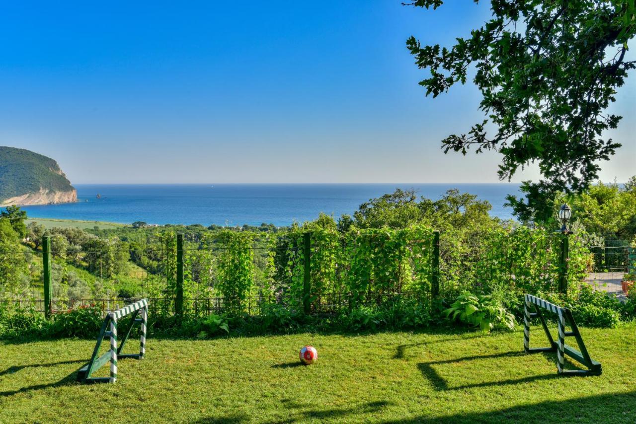 Pataki Studios Petrovac 外观 照片