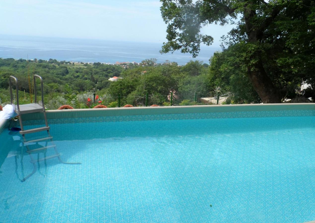 Pataki Studios Petrovac 外观 照片
