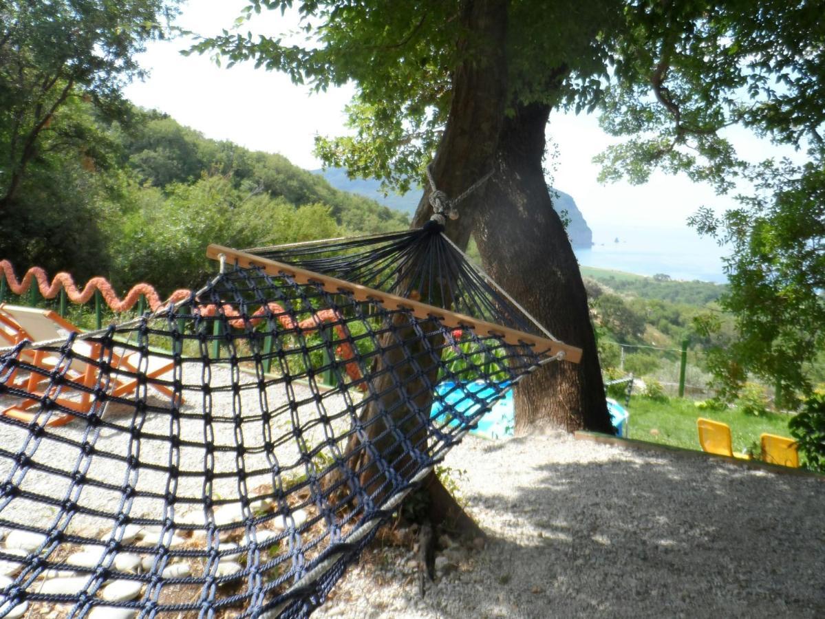 Pataki Studios Petrovac 外观 照片