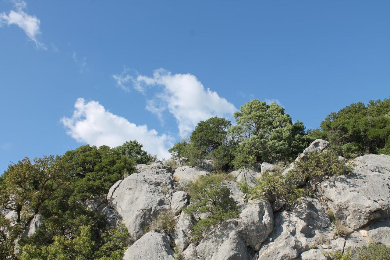 Pataki Studios Petrovac 外观 照片