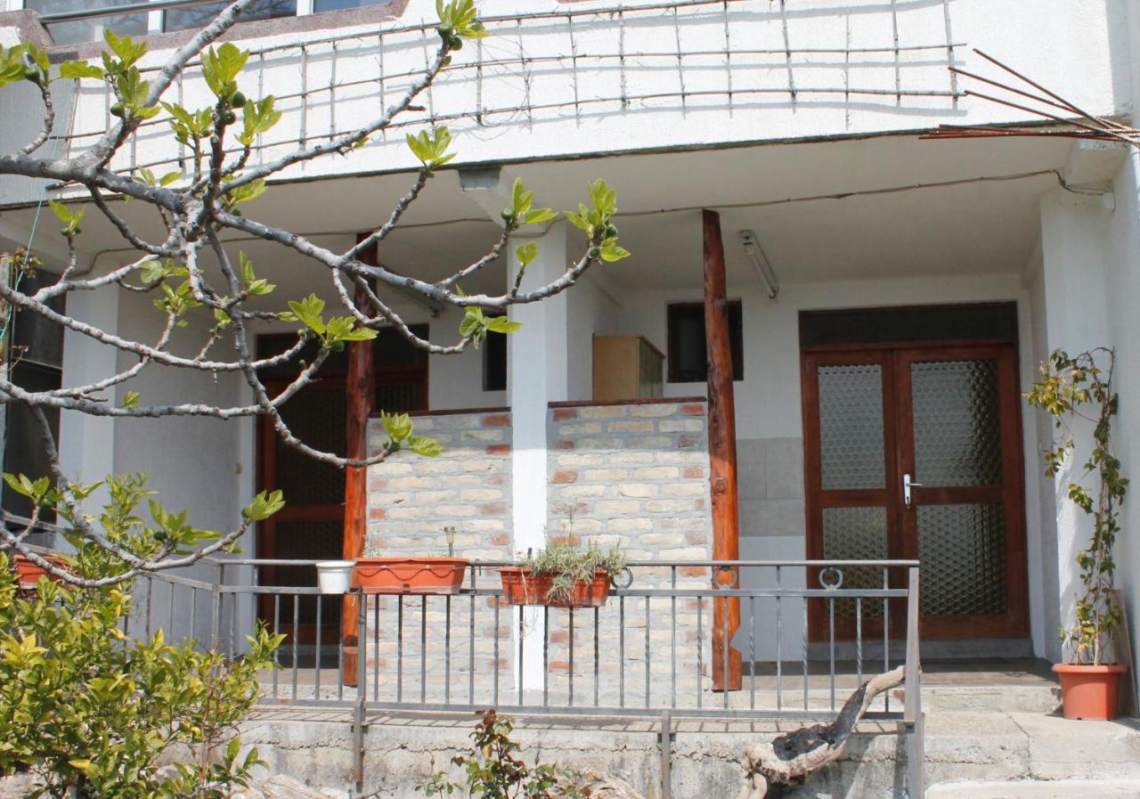 Pataki Studios Petrovac 外观 照片