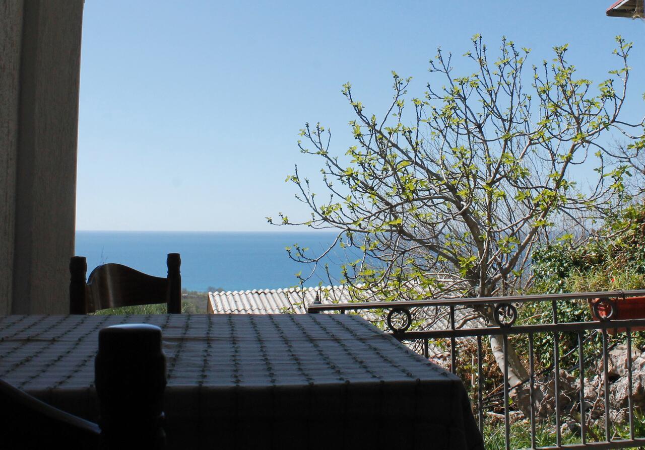 Pataki Studios Petrovac 外观 照片